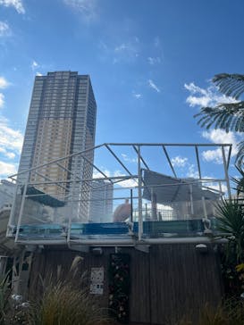 サンシャイン水族館に投稿された画像（2025/1/7）