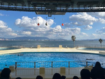 マリンワールド海の中道に投稿された画像（2025/1/7）