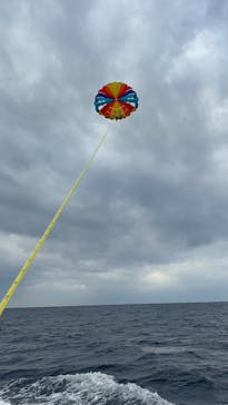 Sea World（シーワールド）に投稿された画像（2025/1/7）