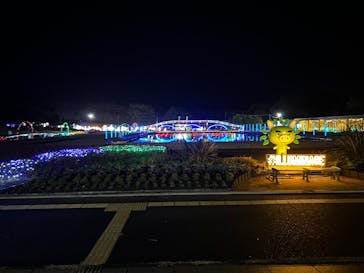 鹿児島イルミナージュに投稿された画像（2025/1/7）