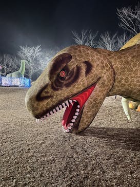 鹿児島イルミナージュに投稿された画像（2025/1/7）