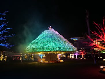 東京メガイルミに投稿された画像（2025/1/7）