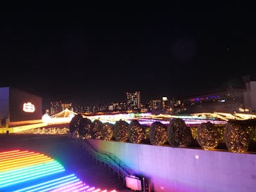 東京メガイルミに投稿された画像（2025/1/7）