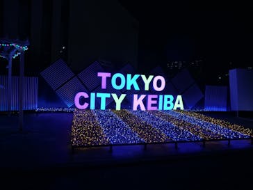 東京メガイルミに投稿された画像（2025/1/7）