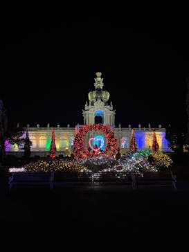 佐賀イルミナージュに投稿された画像（2025/1/7）