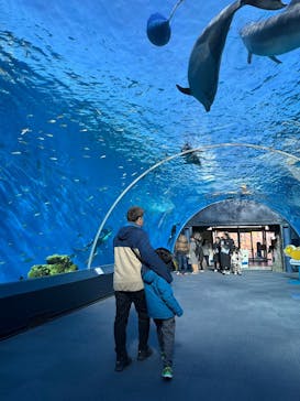 横浜・八景島シーパラダイスに投稿された画像（2025/1/7）