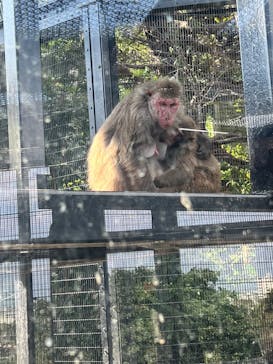 沖縄こどもの国に投稿された画像（2025/1/7）