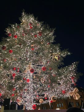 Christmas Market in 横浜赤レンガ倉庫 2025に投稿された画像（2025/1/7）