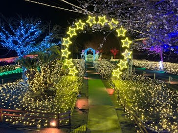 伊豆高原グランイルミに投稿された画像（2025/1/7）