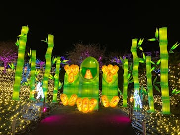 伊豆高原グランイルミに投稿された画像（2025/1/7）