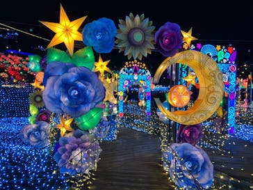 伊豆高原グランイルミに投稿された画像（2025/1/7）