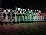 東京メガイルミに投稿された画像（2025/1/8）
