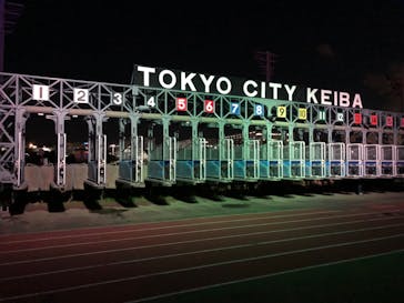 東京メガイルミに投稿された画像（2025/1/7）