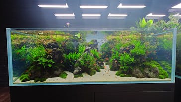 すみだ水族館に投稿された画像（2025/1/8）