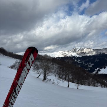 氷ノ山国際スキー場に投稿された画像（2025/1/8）
