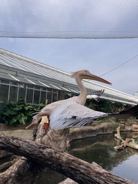 神戸どうぶつ王国に投稿された画像（2025/1/8）