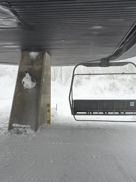 黒伏高原スノーパーク ジャングル・ジャングルに投稿された画像（2025/1/8）