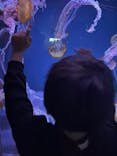 すみだ水族館に投稿された画像（2025/1/8）