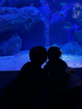 すみだ水族館に投稿された画像（2025/1/8）