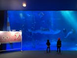 のとじま水族館に投稿された画像（2025/1/8）