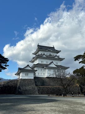 小田原城に投稿された画像（2025/1/8）