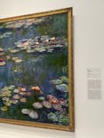 モネ 睡蓮のとき（国立西洋美術館）に投稿された画像（2025/1/8）