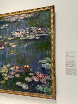モネ 睡蓮のとき（国立西洋美術館）に投稿された画像（2025/1/8）