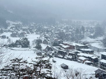 ホワイトリングに投稿された画像（2025/1/8）