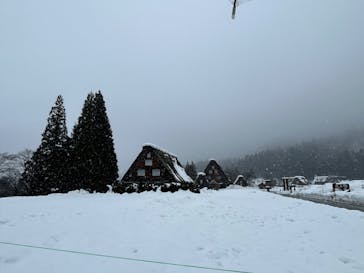 ホワイトリングに投稿された画像（2025/1/8）