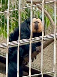 恩賜上野動物園に投稿された画像（2025/1/8）