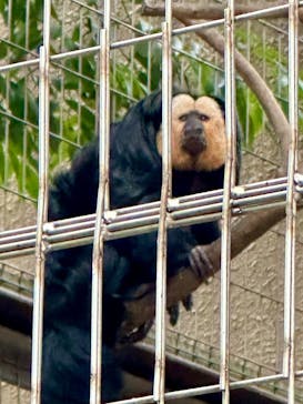 恩賜上野動物園に投稿された画像（2025/1/8）