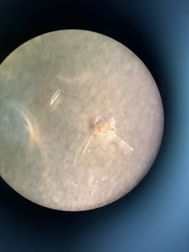 新江ノ島水族館に投稿された画像（2025/1/8）