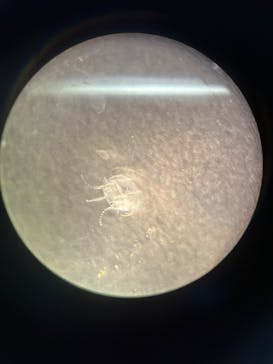 新江ノ島水族館に投稿された画像（2025/1/8）