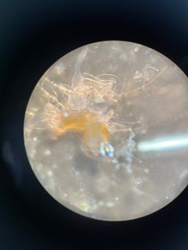 新江ノ島水族館に投稿された画像（2025/1/8）