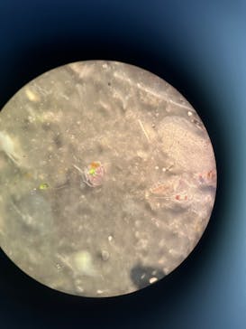 新江ノ島水族館に投稿された画像（2025/1/8）