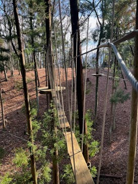 フォレストアドベンチャー・秩父に投稿された画像（2025/1/8）