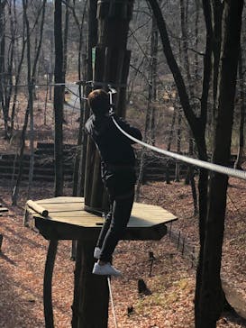 フォレストアドベンチャー・秩父に投稿された画像（2025/1/8）