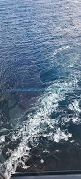 徳島県立 渦の道に投稿された画像（2025/1/8）