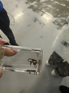 沖縄美ら海水族館（館内体験）に投稿された画像（2025/1/8）