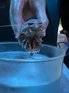 沖縄美ら海水族館（館内体験）に投稿された画像（2025/1/8）