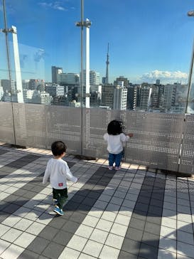 国立科学博物館に投稿された画像（2025/1/8）