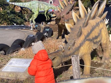 伊豆ぐらんぱる公園に投稿された画像（2025/1/8）