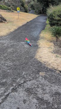 長崎バイオパークに投稿された画像（2025/1/8）