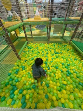 ザキッズ お台場デックス東京ビーチ店に投稿された画像（2025/1/8）