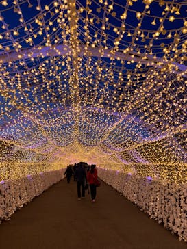 東京メガイルミに投稿された画像（2025/1/8）