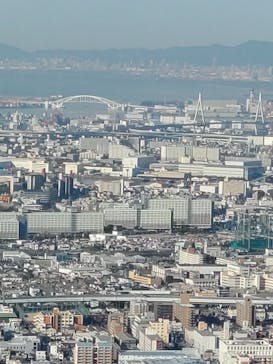 ハルカス300(展望台)に投稿された画像（2025/1/8）