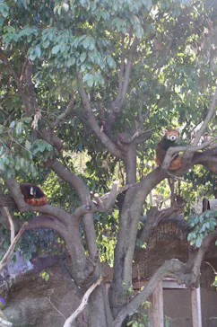 ひらかたパークに投稿された画像（2025/1/8）