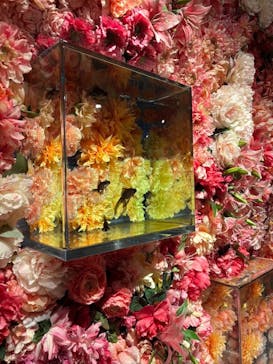 NARA IKIMONO MUSEUMに投稿された画像（2025/1/8）