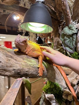 NARA IKIMONO MUSEUMに投稿された画像（2025/1/8）