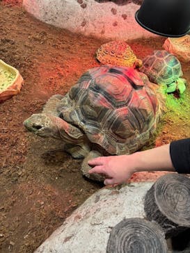 NARA IKIMONO MUSEUMに投稿された画像（2025/1/8）